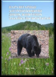 Книга с медведем